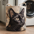 Schwarze Katze Porträt Wäschekorb